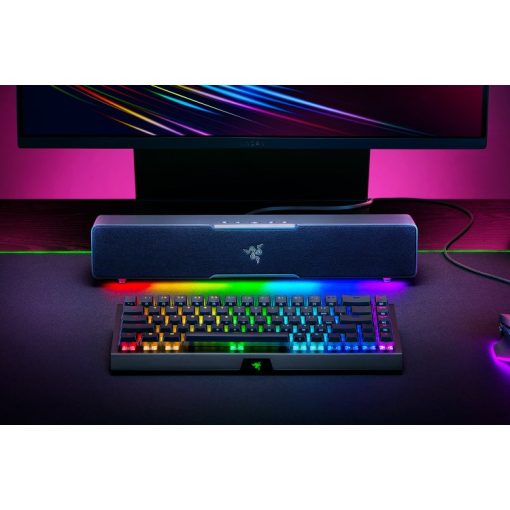 خرید اسپیکر گیمینگ ریزر Razer Leviathan v2 X - تصویر 6